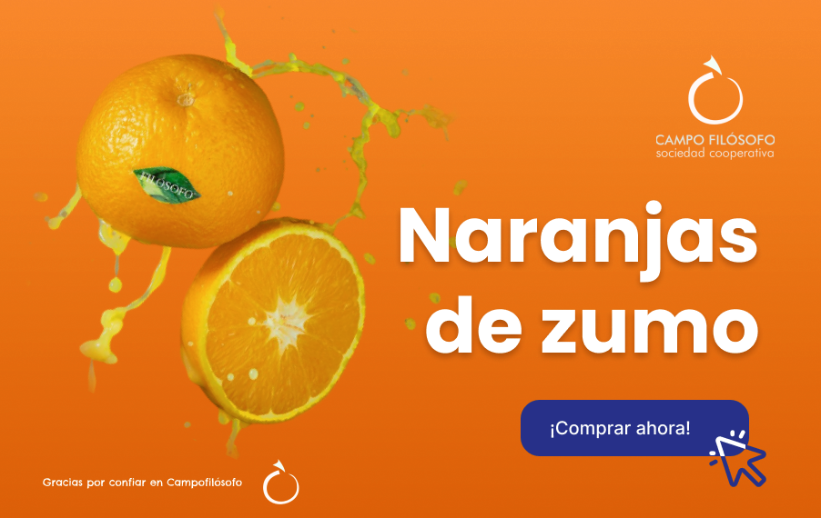 Comprar naranjas de zumo